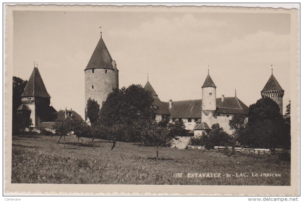 SUISSE,HELVETIA,SWISS,SWI TZERLAND,SVIZZERA,SCHWEIZ ,FRIBOURG,BROYE,ESTAVAYER  LE LAC,chateau,prés Lac Neuchatel - Estavayer