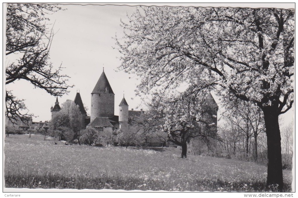 SUISSE,HELVETIA,SWISS,SWI TZERLAND,SVIZZERA,SCHWEIZ ,FRIBOURG,BROYE,ESTAVAYER   LE LAC,chateau,prés Lac Neuchatel - Estavayer