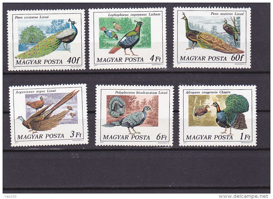 PEACOCKS 6 STAMPS 1977  MINT **, HUNGARY. - Paons