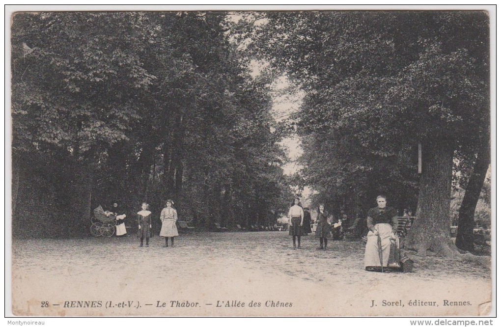 Ille Et Vilaine  : RENNES : Le   Thabor  , L'  Allée  Des  Chênes - Rennes