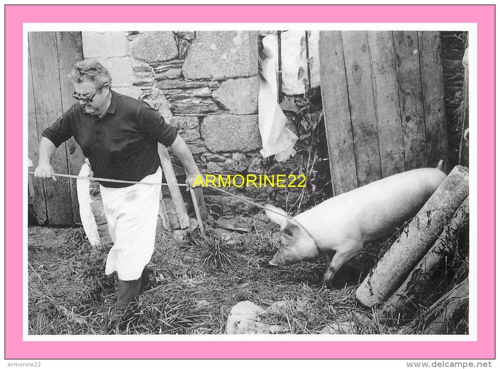 CPM PLENEE JUGON  La Mort Du Cochon  Par Louis Duchene Boucher De Campagne , 9 / 1986 - Plénée-Jugon