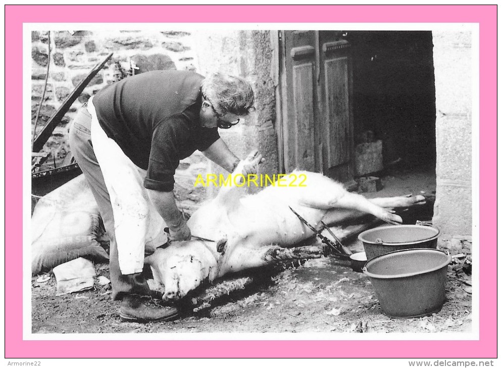 CPM PLENEE JUGON  La Mort Du Cochon  Par Louis Duchene Boucher De Campagne , 9 / 1986 - Plénée-Jugon