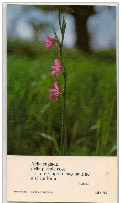 Santino Trappiste Vitorchiano (Viterbo) Con Frase Di Gibran E Fiori Rosa - Santini