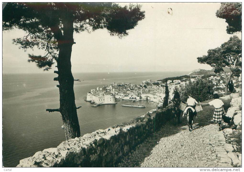 CPM - DUBROVNIK - Panorama - Croatie