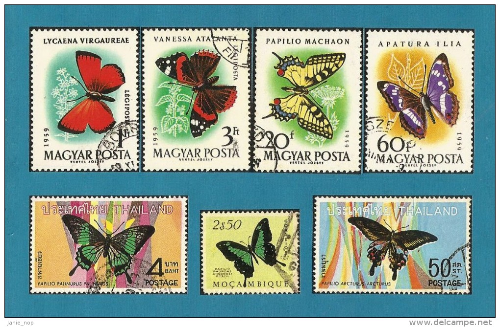 Hong Kong 2007 Souvenir Postcard - Postal Stationery