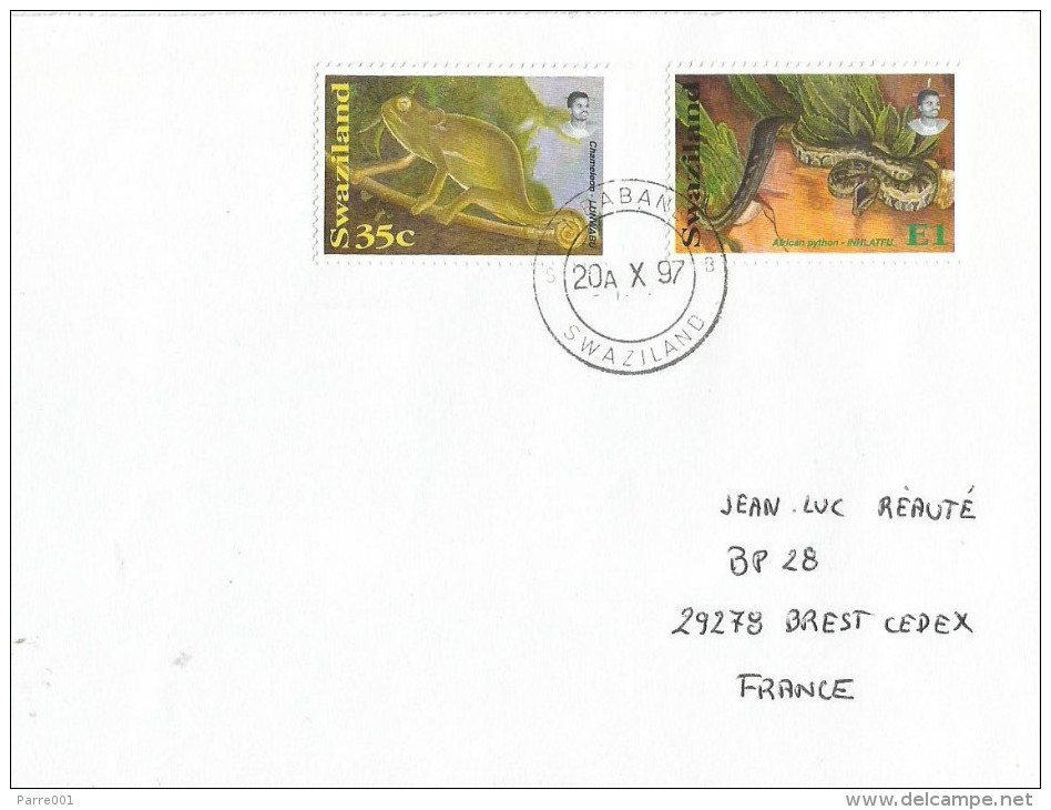 Swaziland 1997 Mbabane African Python Chameleon Cover - Snakes