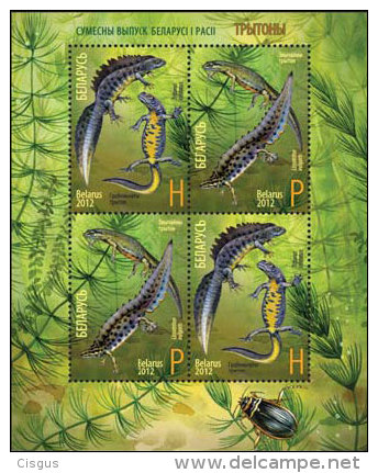 Belarus Weissrussland 2012 MNH ** Mi. Nr. 922-924 Bl.95  Newts Joint Issue With Russia MI - Gemeinschaftsausgaben