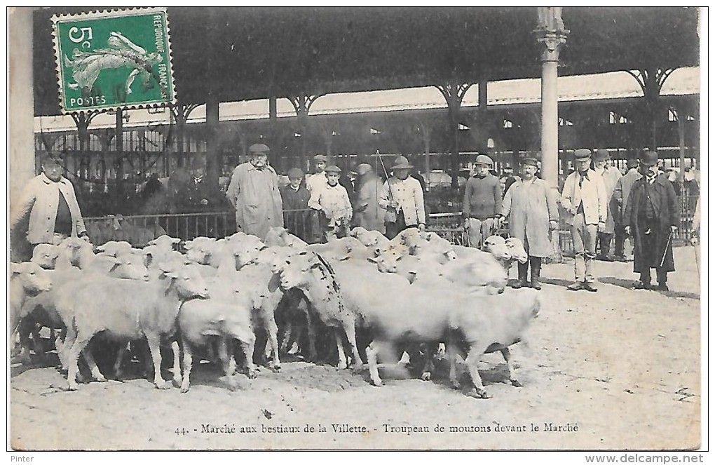 PARIS - Marché Aux Bestiaux De La Villette - Troupeau De Moutons Devant Le Marché - Arrondissement: 19