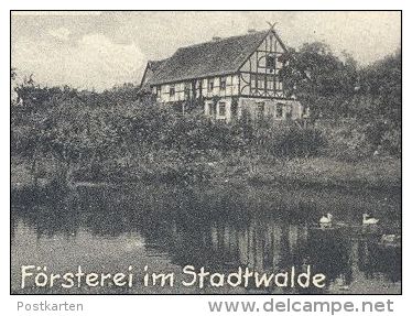 ALTE POSTKARTE NEUHALDENSLEBEN MARKTPLATZ FÖRSTEREI FLORABRÜCKE STENDALER TOR ROLAND GEFALLENEN-DENKMAL Haldensleben AK - Haldensleben