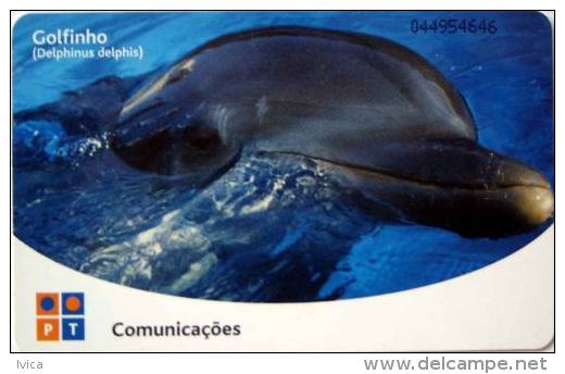 PORTUGAL - Dolphin - 11/02 - 40.000 Ex. - Delfines