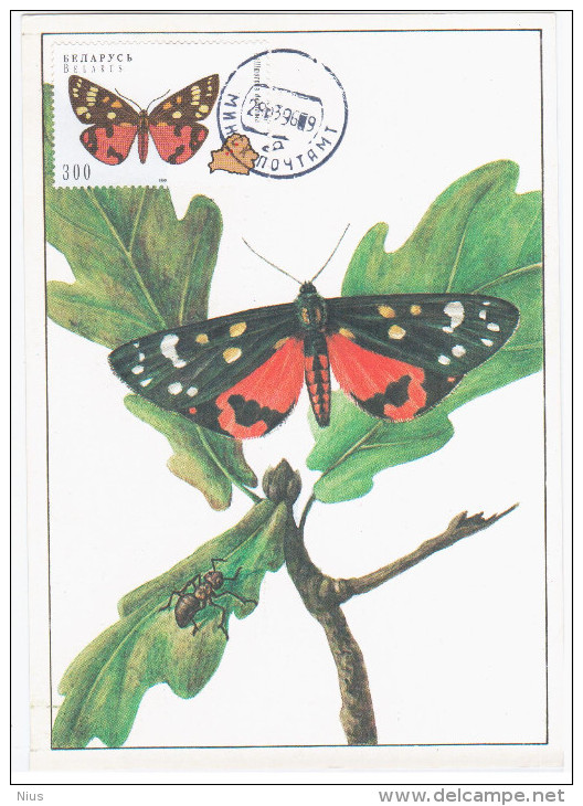 Belarus 1995 Fauna Butterfly Butterflies Ant Insects Canceled In Minsk 1996, Card 1987 - Belarus