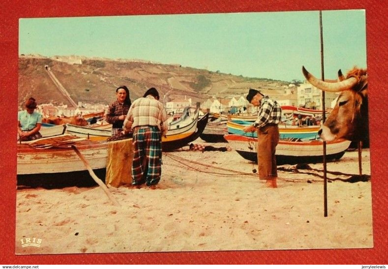 PORTUGAL - NAZARE  -  A Consertar As Redes - Santarem