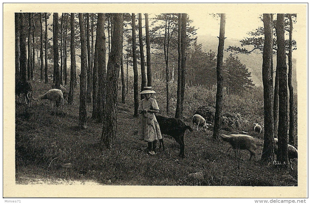 CPA CHAUFFAILLES  Un Troupeau Dans La Montagne  Chevres Et Moutons - Autres & Non Classés