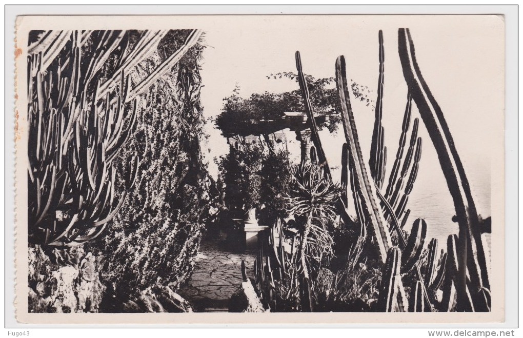 (RECTO / VERSO) MONACO EN 1952 - N° 8 - JARDINS EXOTIQUES - Exotische Tuin