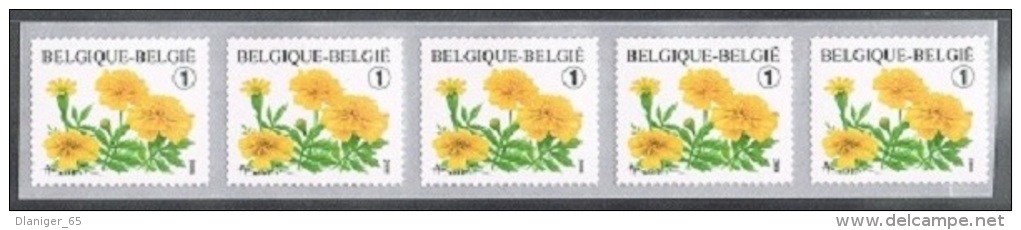 Année 2008 - R114** -  Tagetes Patula  - Bande De Cinq  -  Cote 11,50&euro; - Coil Stamps