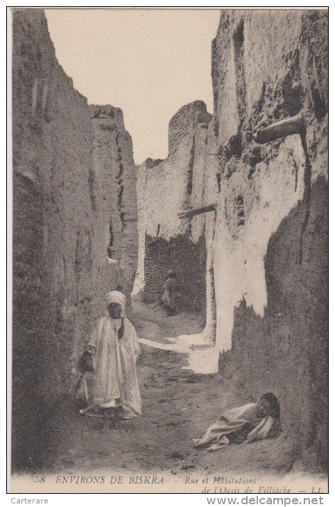 Carte Postale Ancienne,afrique,ALGERIE FRANCAISE,BISKRA,OASIS DE FILLIACHE,1900,87 M Au Niveau De La Mer - Biskra