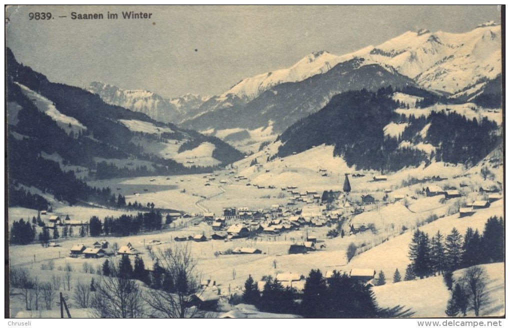 Saanen Gessenay Winter - Gessenay