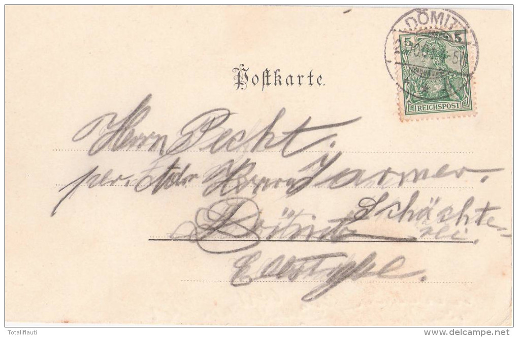 Gruss Aus DÖMITZ Elbe Hafen Anlage Holz Flösse Frachtkahn 25.10.1901 Gelaufen - Dömitz