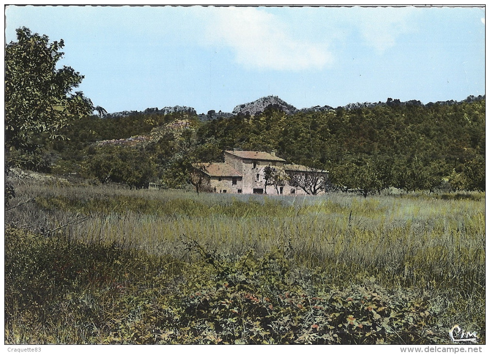 LA ROQUEBRUSSANE    Les Molières   Au Loin Les Fontaines CPSM - La Roquebrussanne