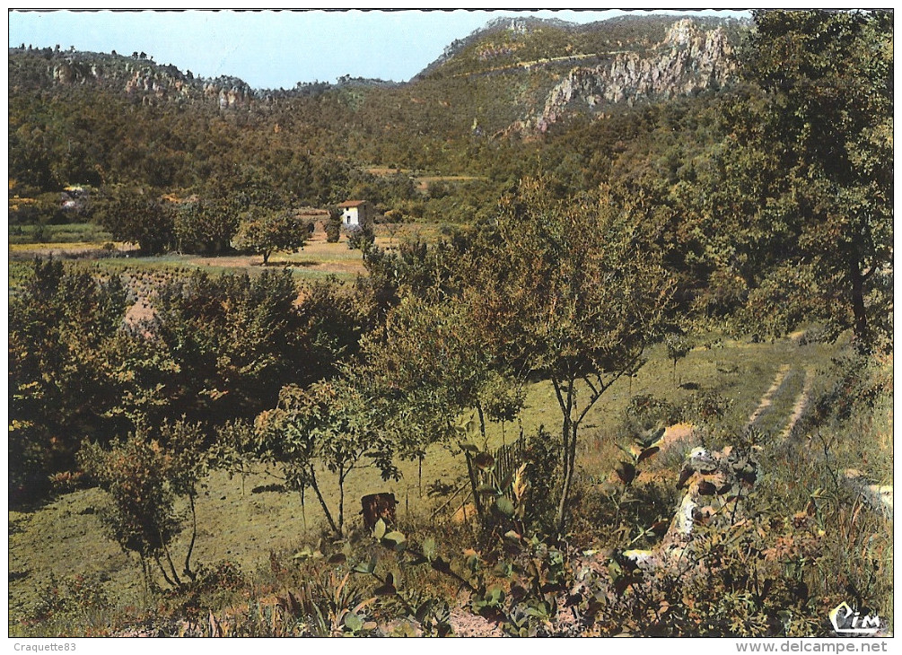 LA ROQUEBRUSSANE    LE CLOS ET LA VALLEE DES BAUMES    CPSM - La Roquebrussanne