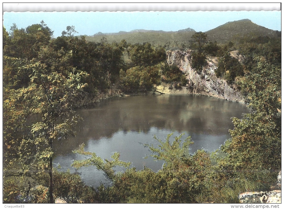 LA ROQUEBRUSSANE    LE GRAND LAC LAOUTIEN      CPSM - La Roquebrussanne