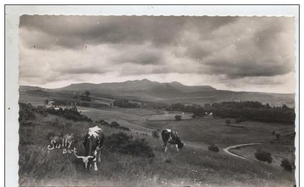 63  :  SAINT  PADOUX  PAR  LA  TOUR  D' AUVERGNE  -  COLONIE  DE  VACANCES  DE  LA  GENNEVILLOISE  (   SCANS R° V°  ) - Autres & Non Classés