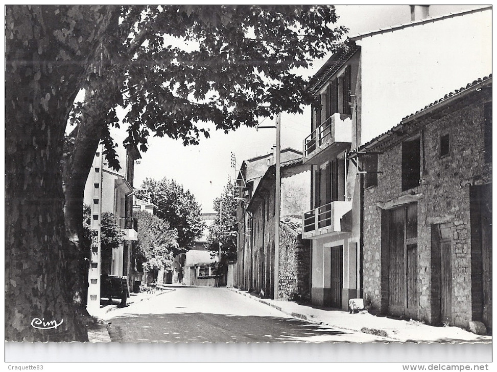 LA ROQUEBRUSSANE   L'ENTREE DU VILLAGE  -LA ROUTE DE TOULON   CPSM - La Roquebrussanne