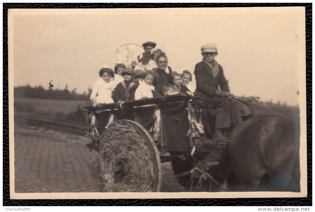 CARTE PHOTO TIRAGE ARGENTIQUE - PARADE PROCESSION  FOLKLORIQUE AU LIMBOURG - ( Belgique ) Nr 4 - Sonstige & Ohne Zuordnung