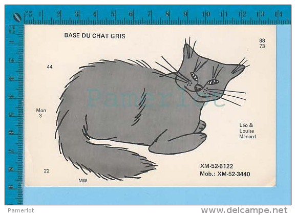 QSL Base Ou Mobile " Du Chat Gris "  Repentigny P. Quebec Canada  ( XM-52., CB Radio  CPM ) Recto/verso - Autres & Non Classés