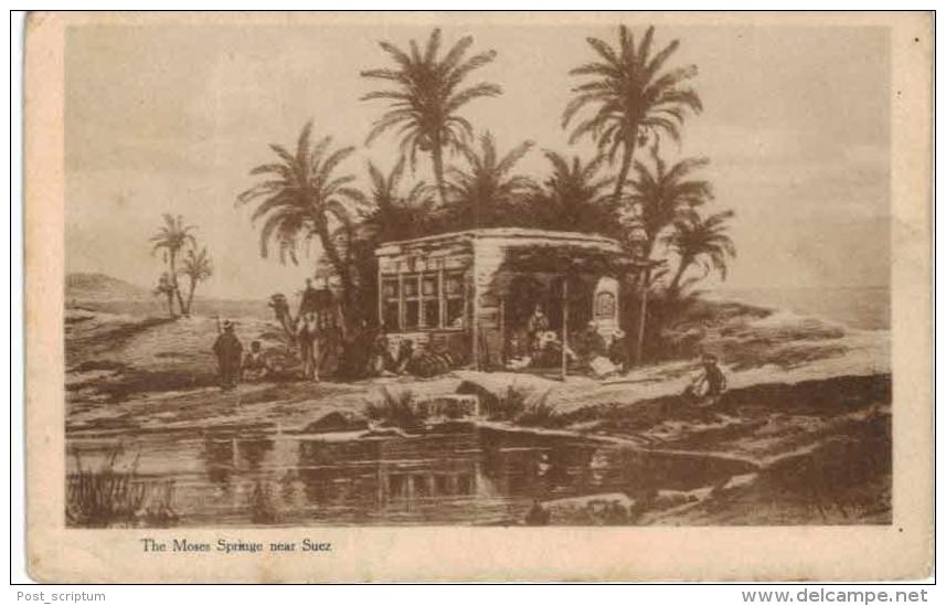 Afrique - Egypte - The Moses Springe Near Suez - Suez