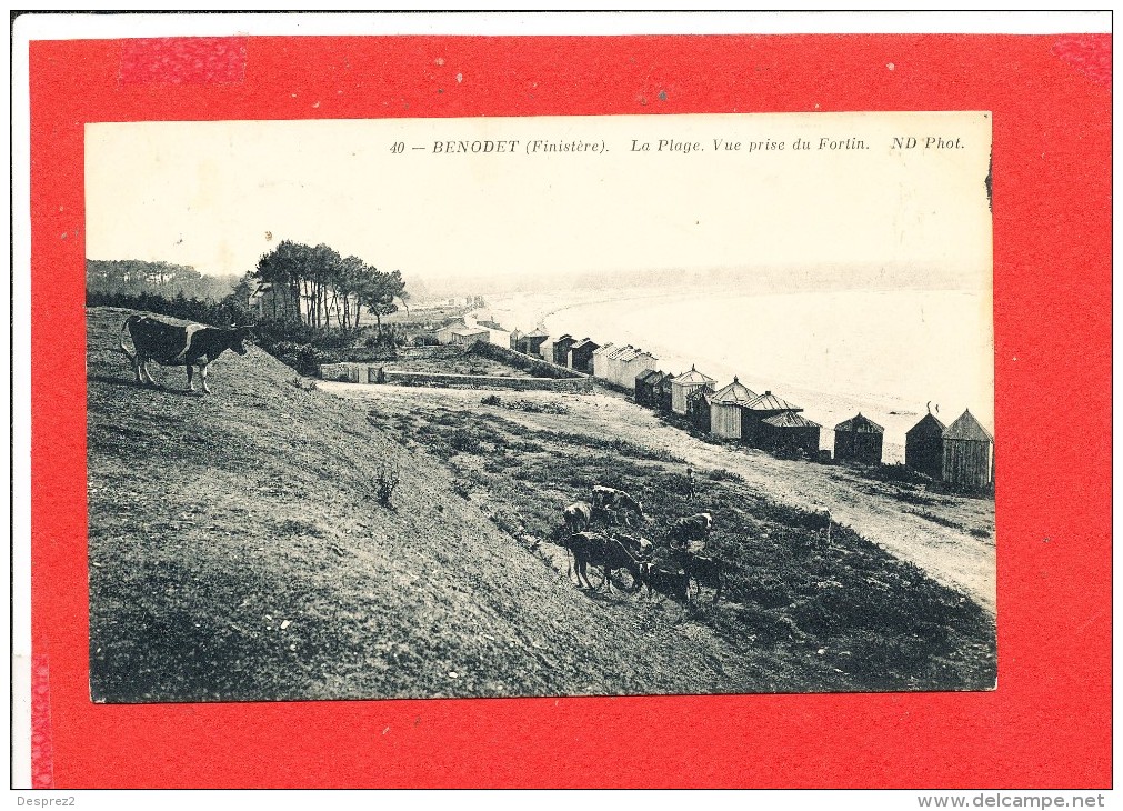 29 BENODET Cpa Petite Animation La Plage               40 ND - Bénodet