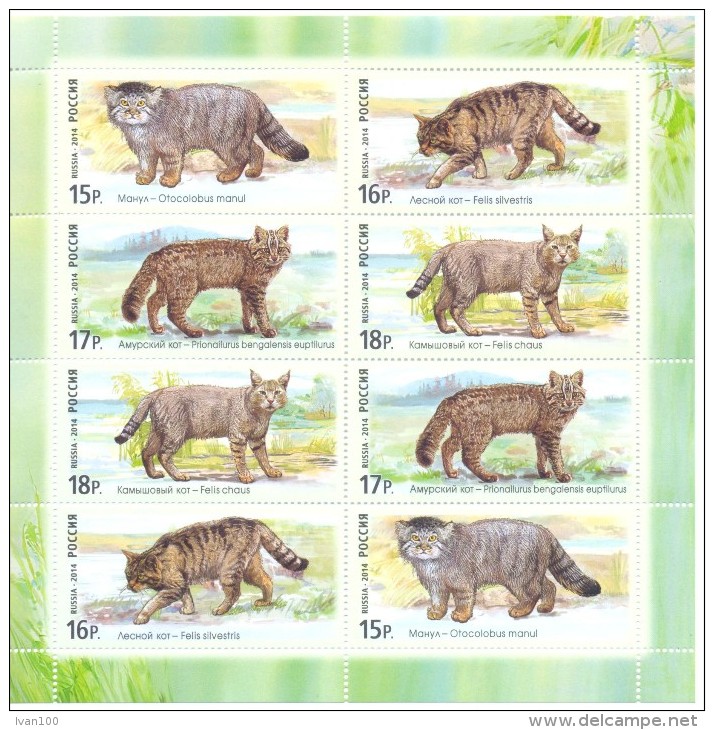 2014. Russia,   Fauna, Wild Cats, Sheetlet, Mint/** - Raubkatzen