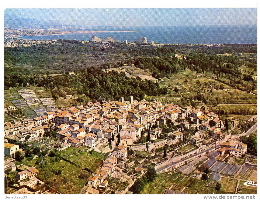 CP (Réf : O409) BIOT  (06 ALPES-MARITIMES) Vue Générale Aérienne - Biot