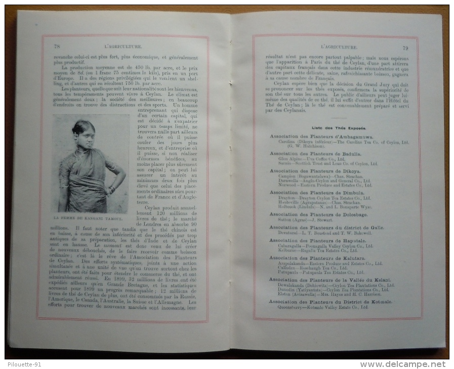 Catalogue Officiel De La Section De Ceylan à L´Exposition Universelle De Paris 1900 - 1801-1900
