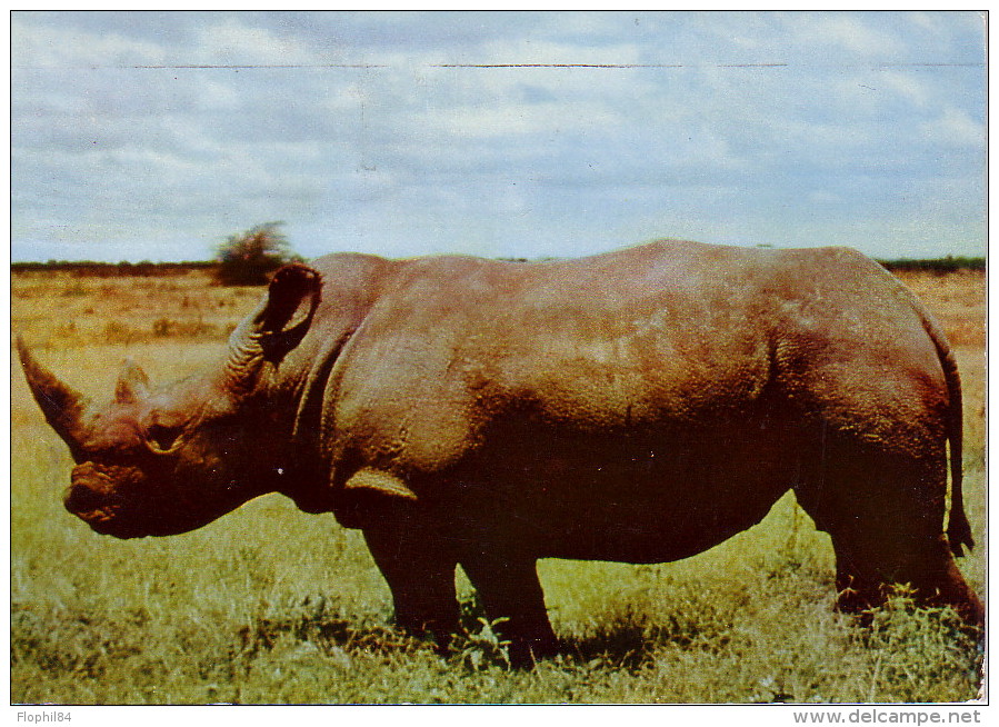 KENYA - MOMBASA - PLASMARINE - IONYL- UN SIECLE APRES LIVINGSTONE 1956-1957 - RHINOCEROS. - Zambie (1965-...)