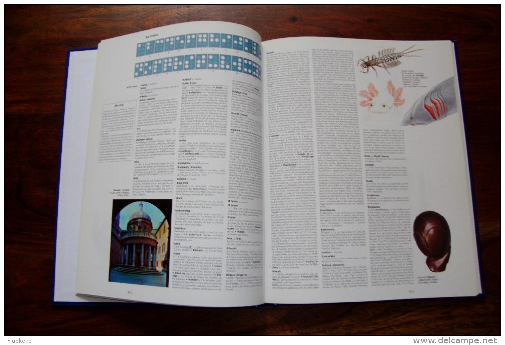 Encyclopédie alphabétique Hachette Le Livre de Paris Éditions Hachette 1995