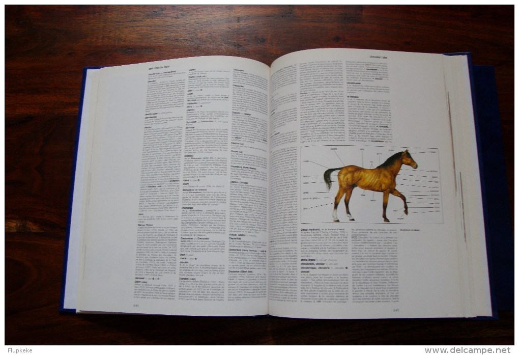 Encyclopédie alphabétique Hachette Le Livre de Paris Éditions Hachette 1995