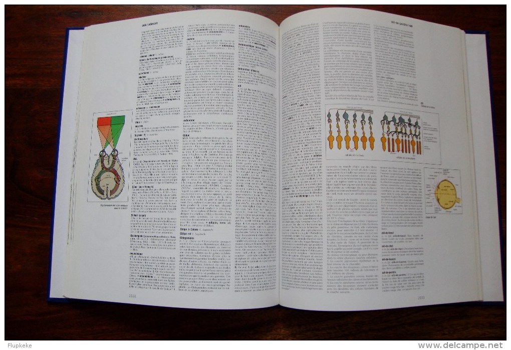 Encyclopédie alphabétique Hachette Le Livre de Paris Éditions Hachette 1995