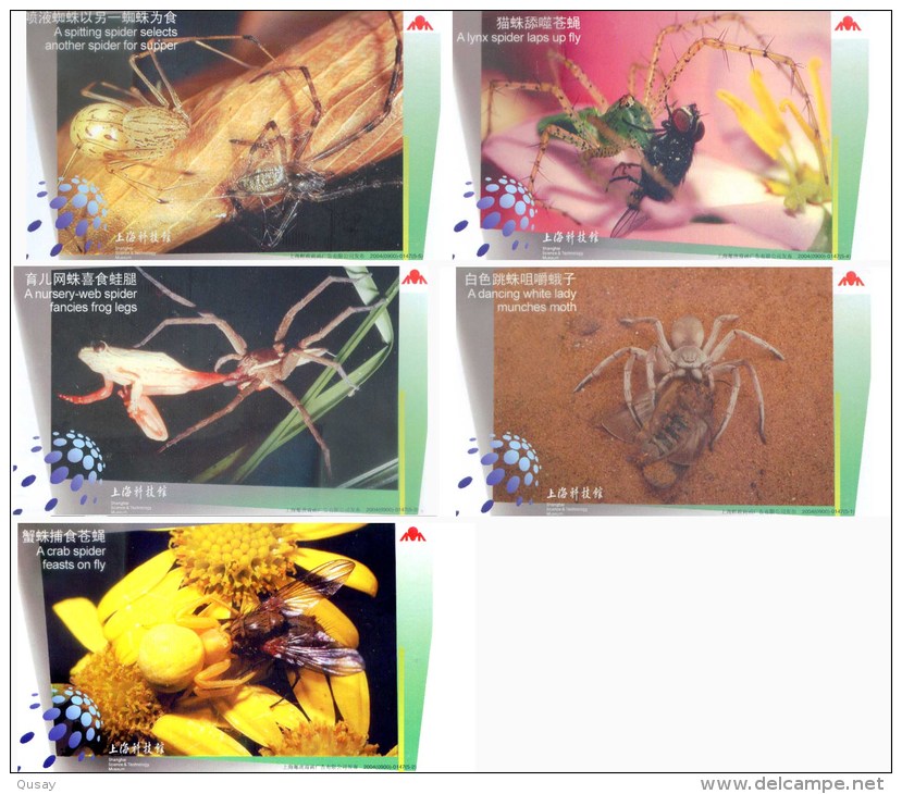 Spider Fly Moth Frog , Shanghai Science And Technology Museum Webspinnen Araneae , 5  Specimen Prepaid Cards - Spinnen