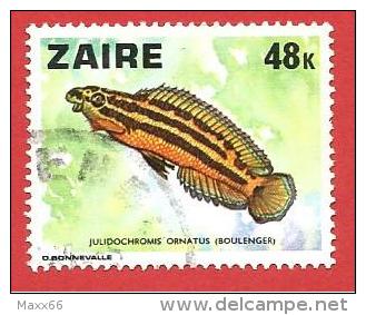 CONGO - ZAIRE - USATO - 1978 - Pesci - Julidochromis Ornatus - 48 K - Michel CD 555 - Gebruikt