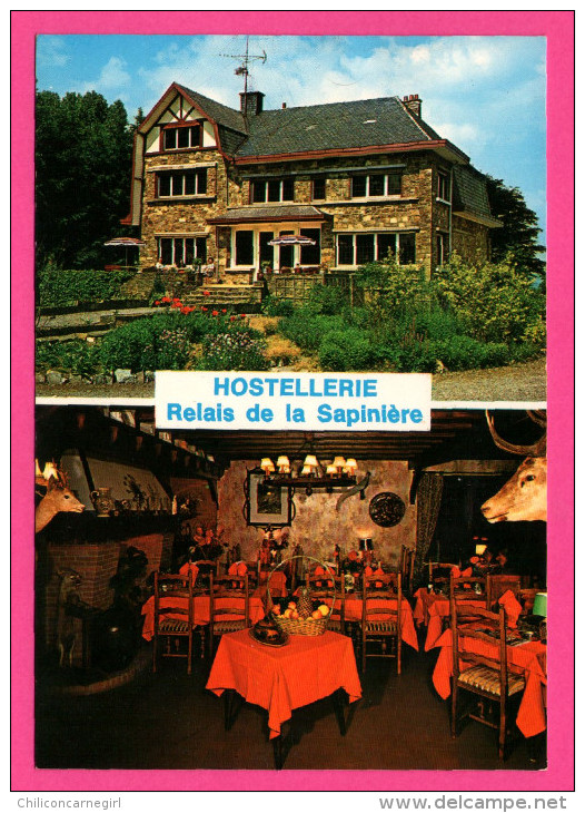 Manhay  - Hostellerie - Relais De La Sapinière - Double Vues - LANDER - Manhay