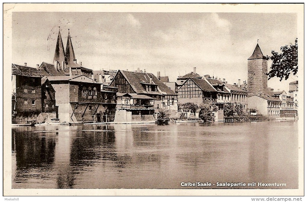 CALBE-SAALE-SAALEPARTIE MIT HEXENTURM - Bernburg (Saale)