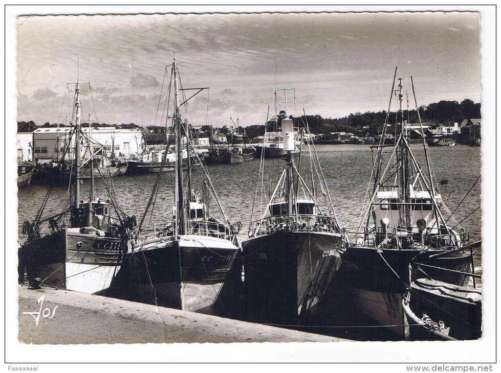 CONCARNEAU  LES CHALUTIERS DANS LE FOND DU PORT PRES DE LA CRIEE - Concarneau