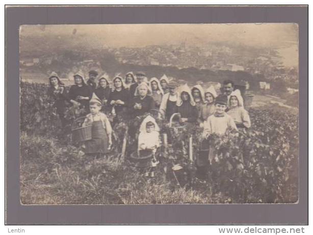 Yonne - Joigny - Carte Photo - "souvenir Des Vendanges" - Other & Unclassified