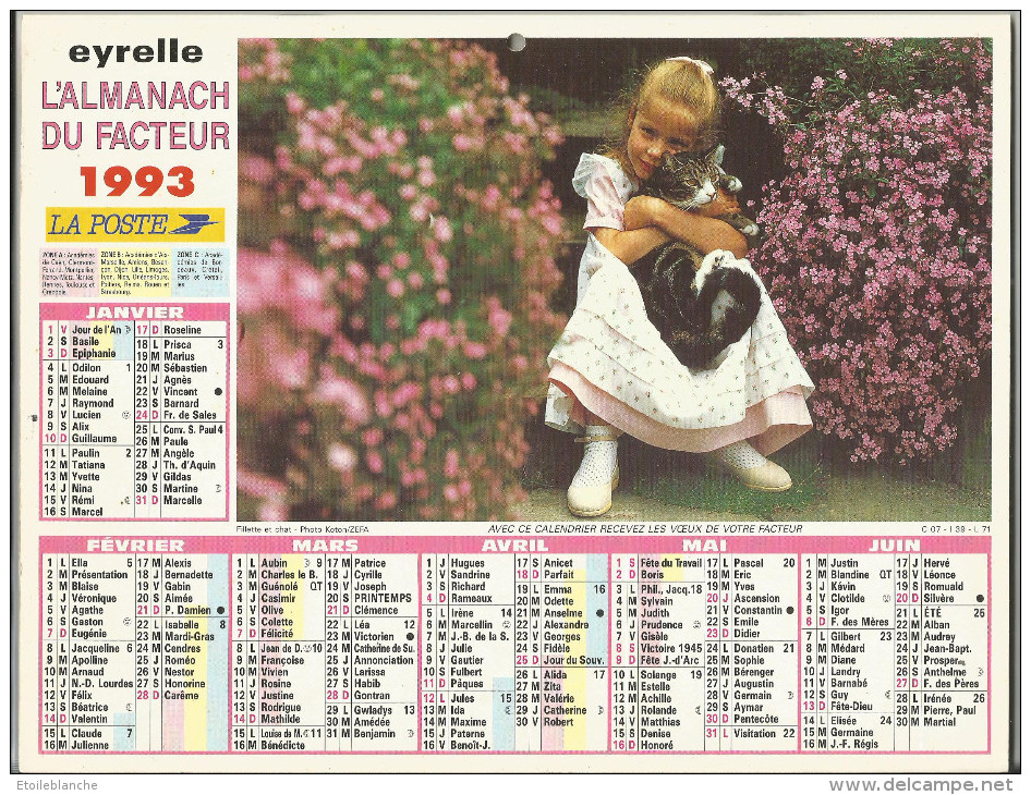 Calendrier La Poste 1995 - Photo Enfants Et Chien, Fillette Avec Chat - Big : 1991-00