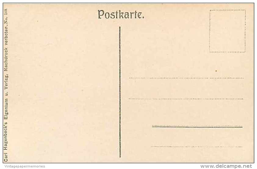 224037-Germany, Stellingen-Hamburg, Carl Hagenbeck´s Tierpark, Offene Lowenschlucht, Lions, No 105 - Stellingen