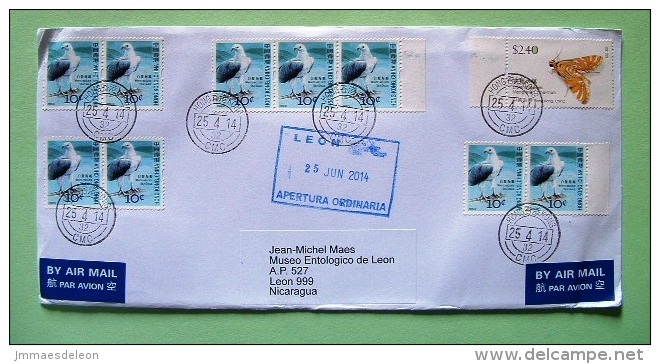 Hong Kong 2014 Cover To Nicaragua - Birds Sea Eagle - Insect Moth - Briefe U. Dokumente