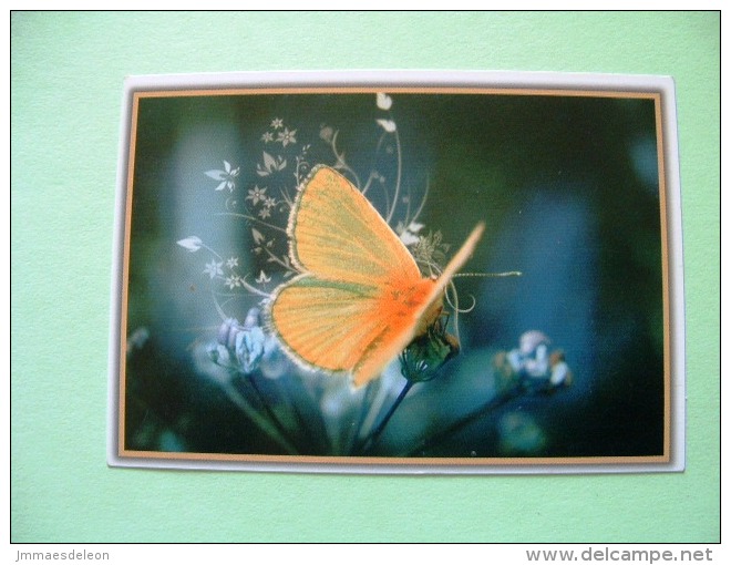 Calendar With Butterfly (Lycaenidae) - Klein Formaat: 2001-...