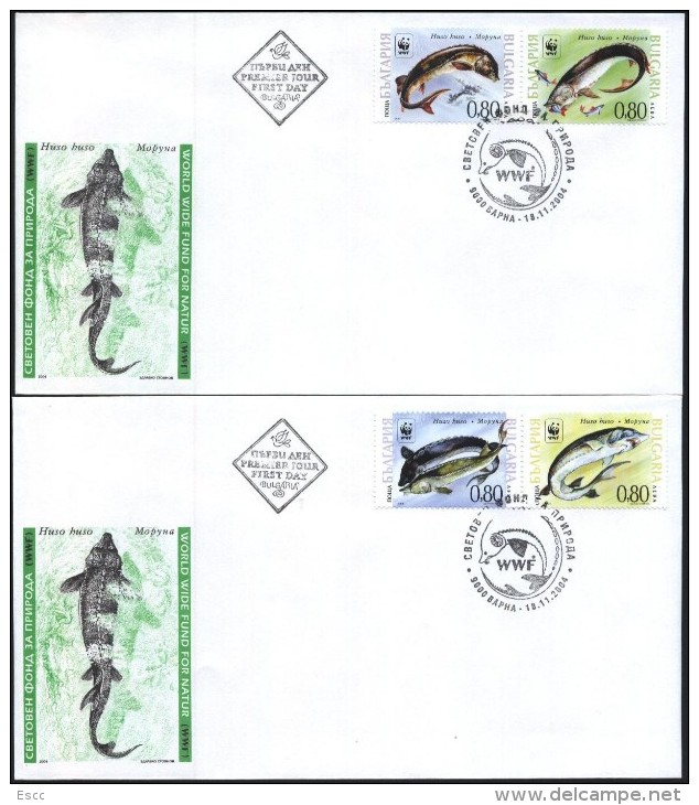 FDC-s  WWF Fishs 2004  From Bulgaria - FDC