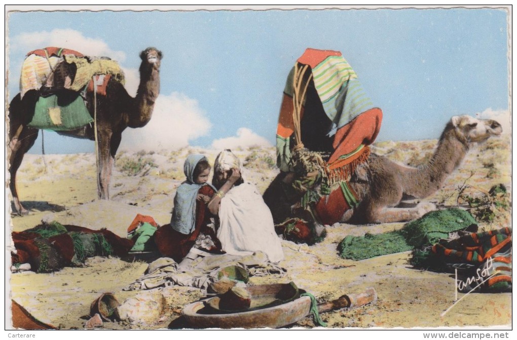 AFRIQUE,AFRICA,ALGERIE FRANCAISE,KABYLIE,AGOUNI GUEGHRANE,AGHNI GOUGHRANE,TIZI OUZOU,CAMPEMENT,NOMADES - Tizi Ouzou